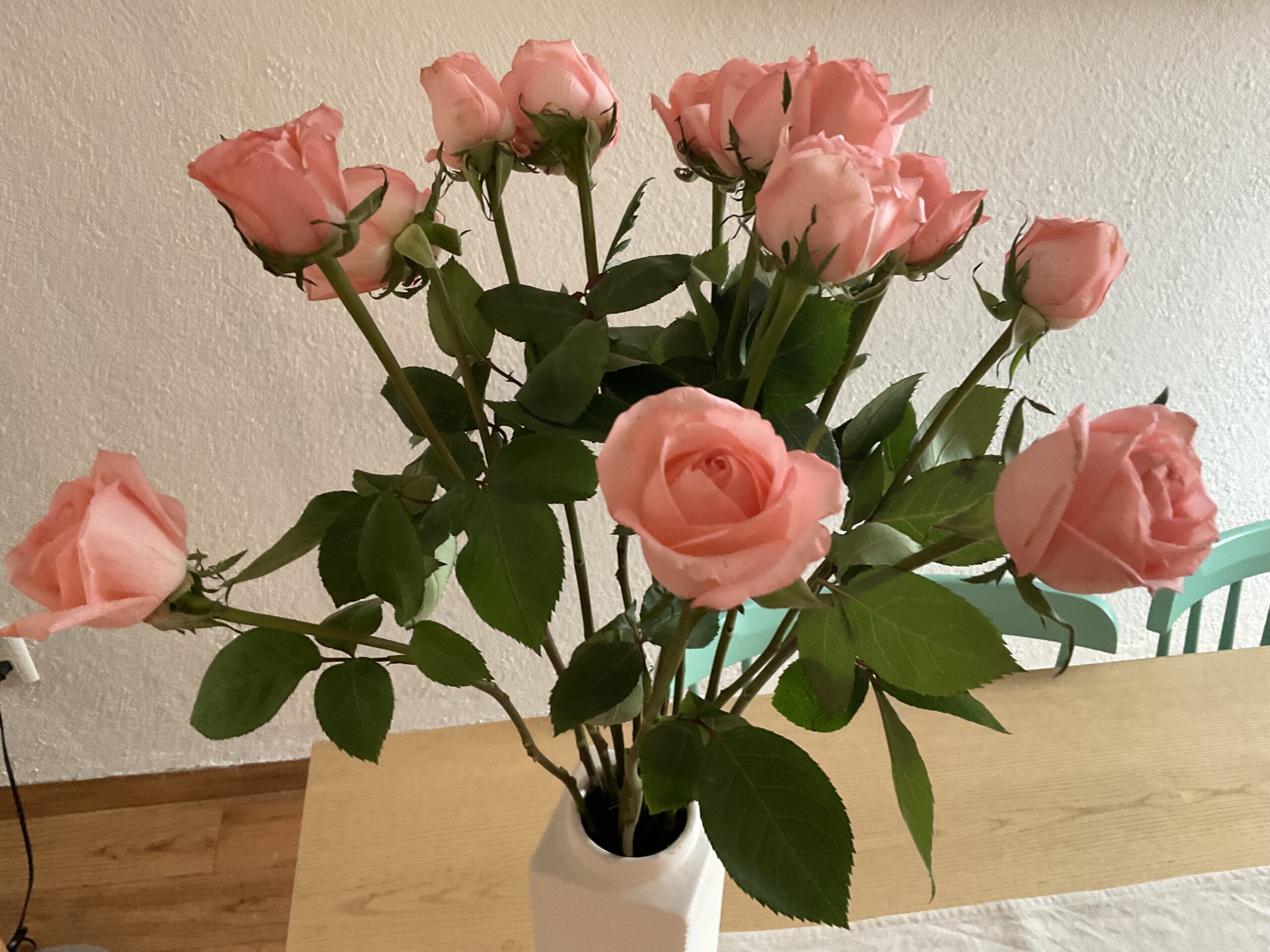 blog-image